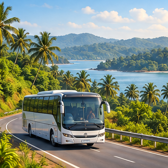 Bus travelling along a palm-lined coastal road